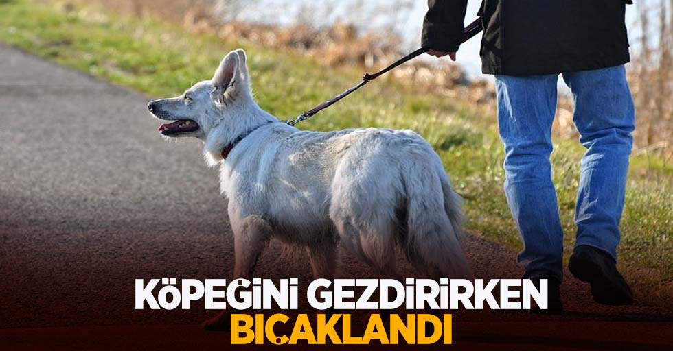 Köpeğini gezdirirken bıçaklandı...