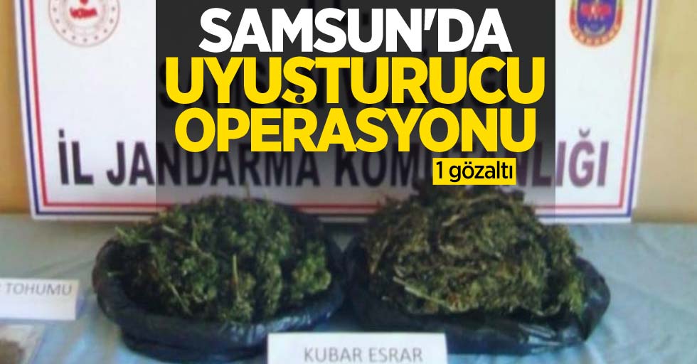 Samsun'da uyuşturucu operasyonu: 1 gözaltı