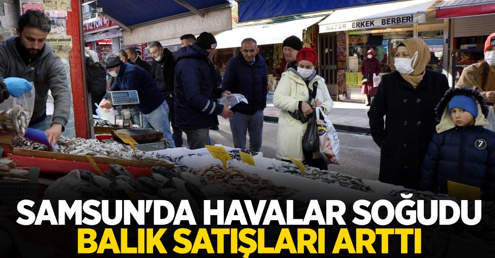 Samsun'da havalar soğudu balık satışları arttı