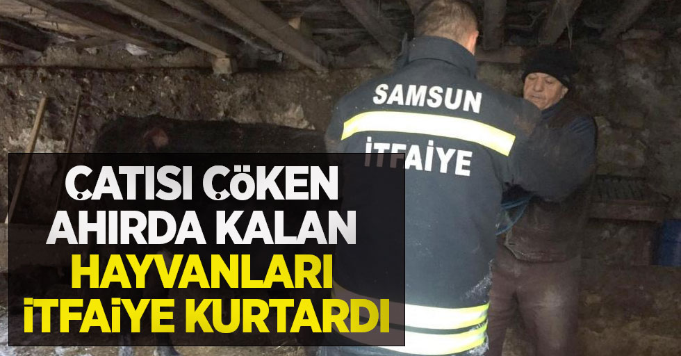 Çatısı çöken ahırda kalan hayvanları itfaiye kurtardı