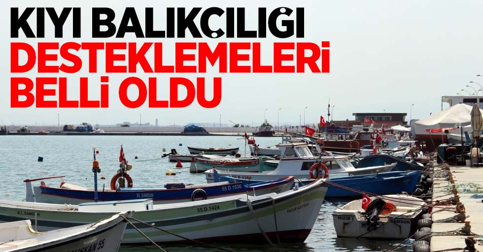 Kıyı balıkçılığı desteklemeleri belli oldu