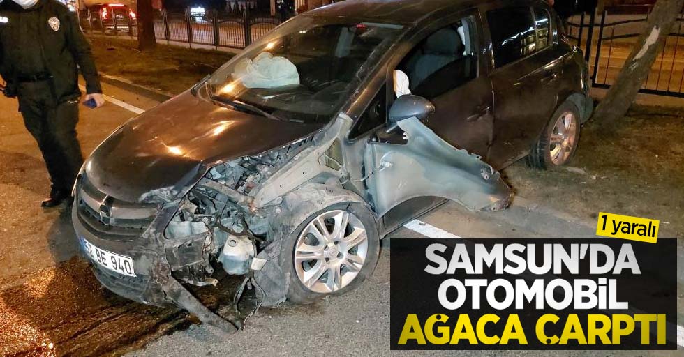 Samsun'da otomobil ağaca çarptı: 1 yaralı