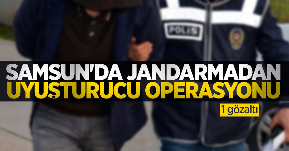 Samsun'da jandarmadan uyuşturucu operasyonu: 1 gözaltı