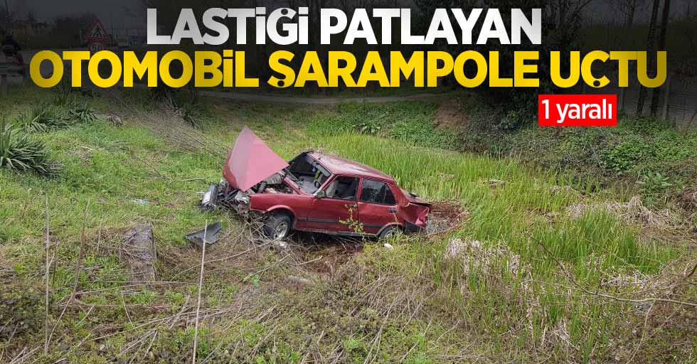 Lastiği patlayan otomobil şarampole uçtu