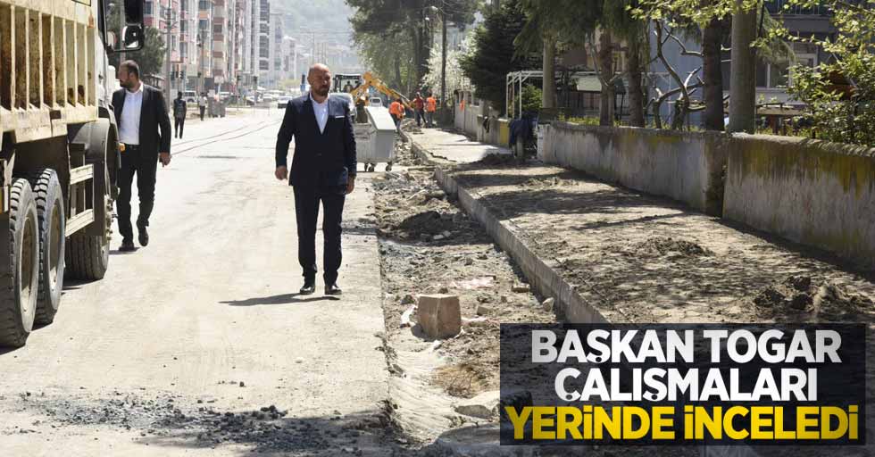 Başkan Togar çalışmaları yerinde inceledi