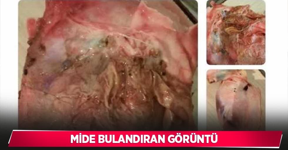 Mide bulandıran görüntü