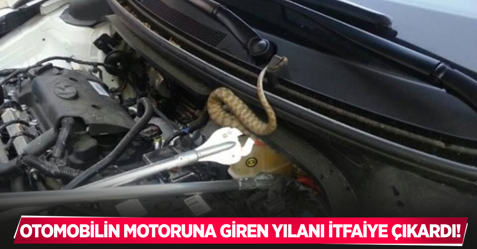 Otomobilin motoruna giren yılanı itfaiye çıkardı