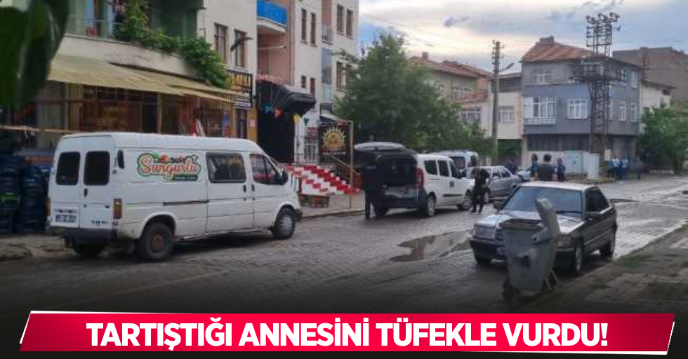 Tartıştığı annesini tüfekle vurdu!