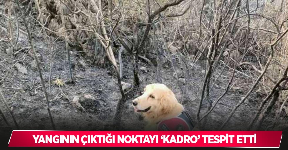 Yangının çıktığı noktayı ‘Kadro’ tespit etti