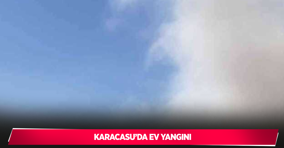 Karacasu’da ev yangını