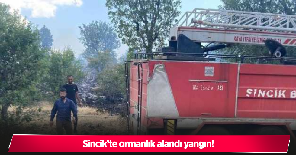 Sincik’te ormanlık alandı yangın