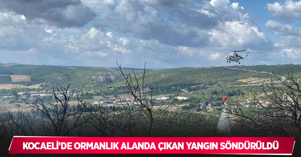 Kocaeli’de ormanlık alanda çıkan yangın söndürüldü