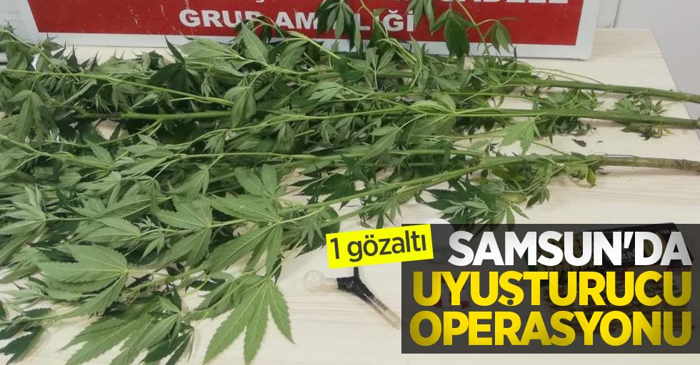 Samsun'da uyuşturucu operasyonu: 1 gözaltı