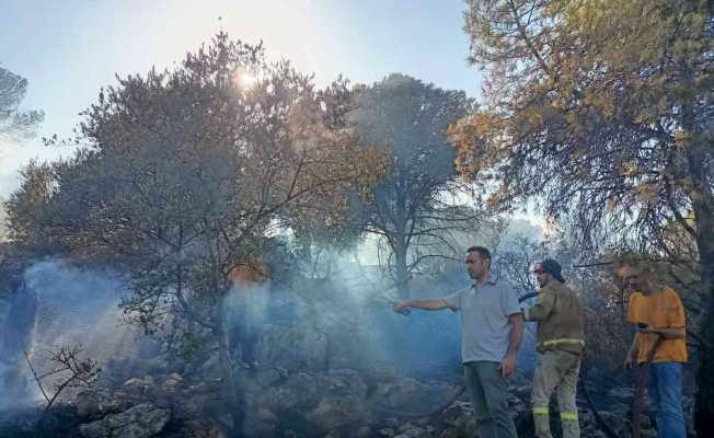 Çeşme yangını kontrol altında