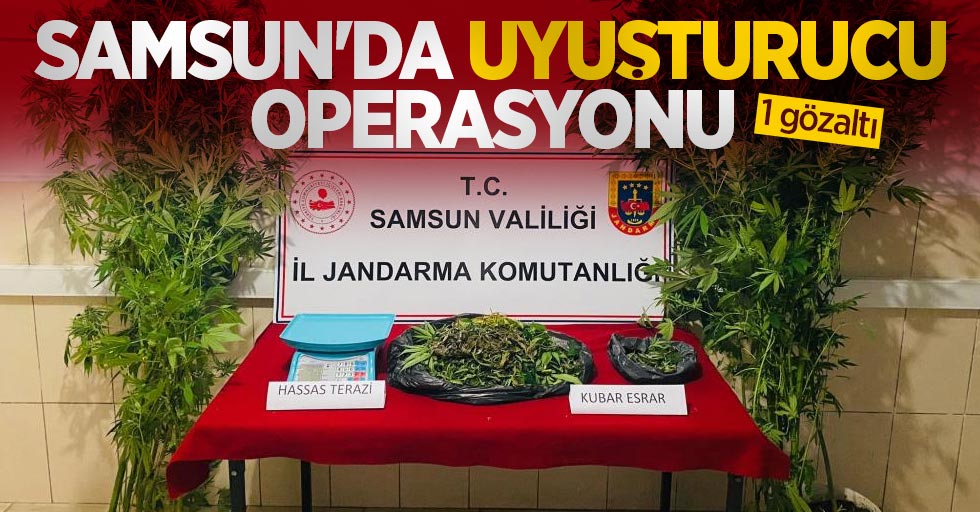 Samsun'da uyuşturucu operasyonu: 1 gözaltı