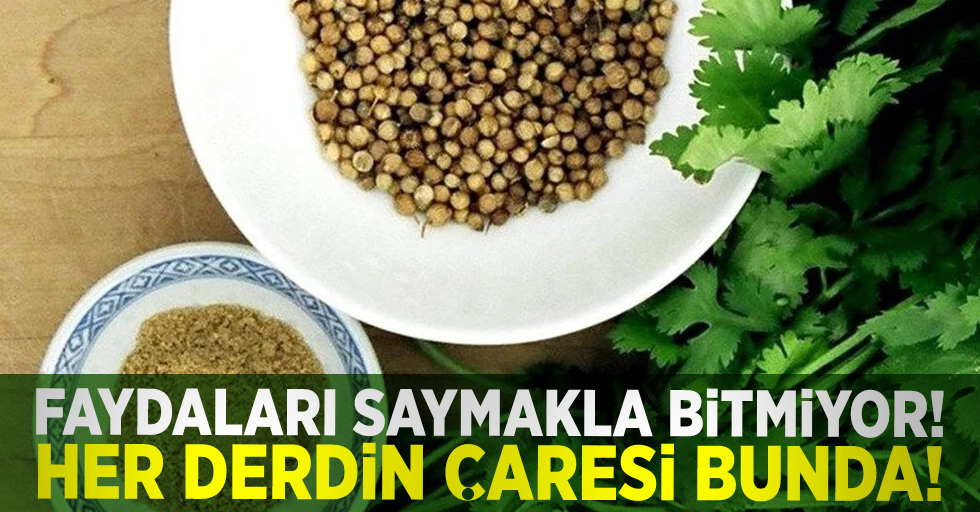 Adeta Şifa Kaynağı! Her Derdin Devası Bunda!