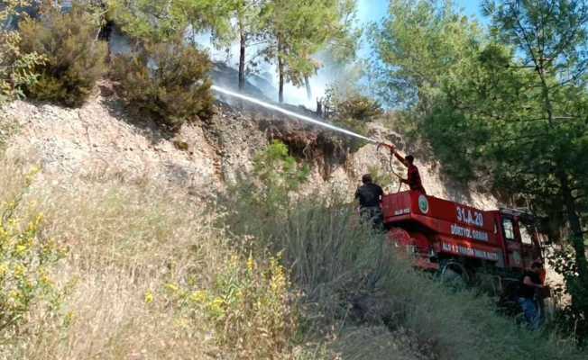 Dörtyol’da çıkan orman yangını söndürüldü