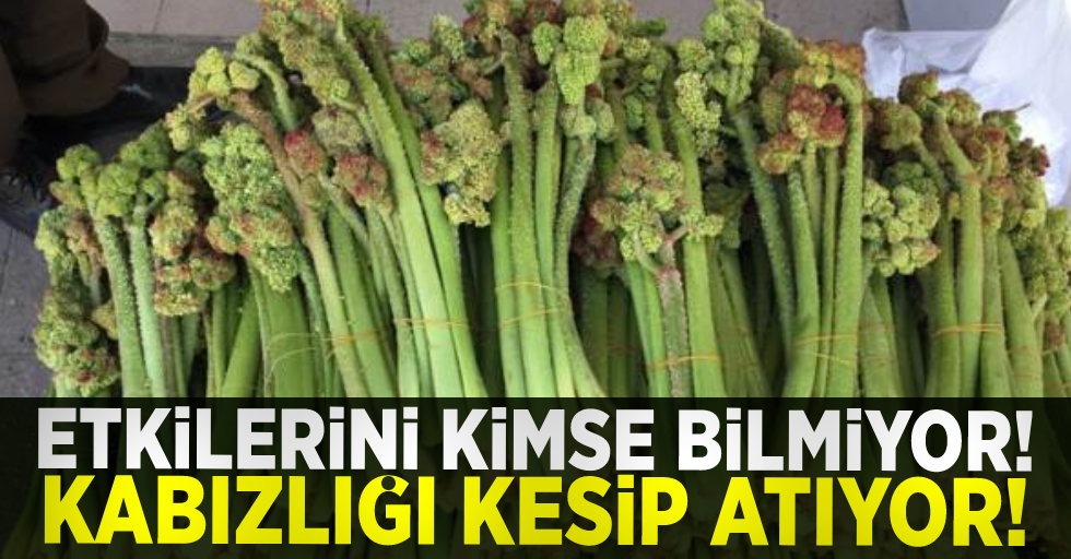 Etkilerini Kimse Bilmiyor! Kabızlığı Kesip Atıyor!