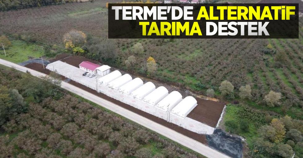 Terme’de alternatif tarıma destek