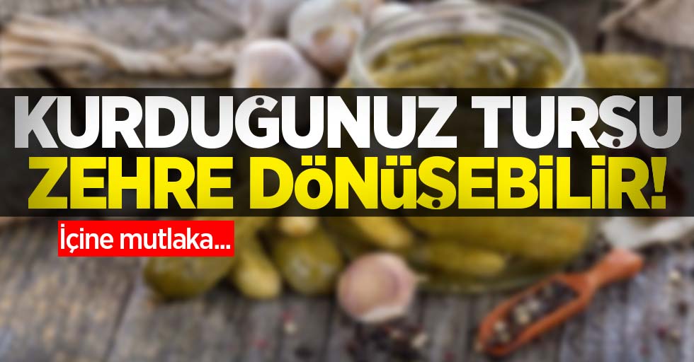 Yeni kurduğunuz turşu zehre dönüşebilir! İçine ondan mutlaka...