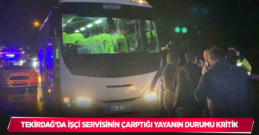 Tekirdağ’da işçi servisinin çarptığı yayanın durumu kritik