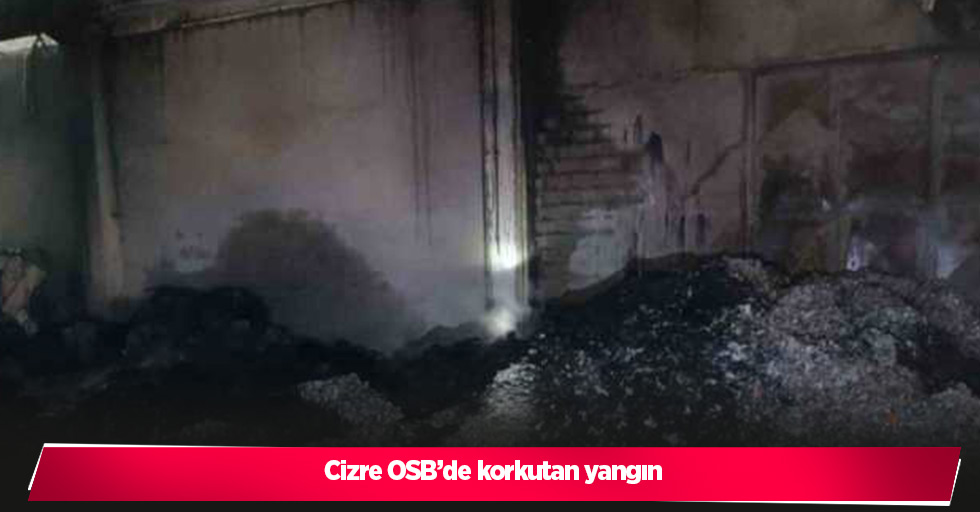 Cizre OSB’de korkutan yangın