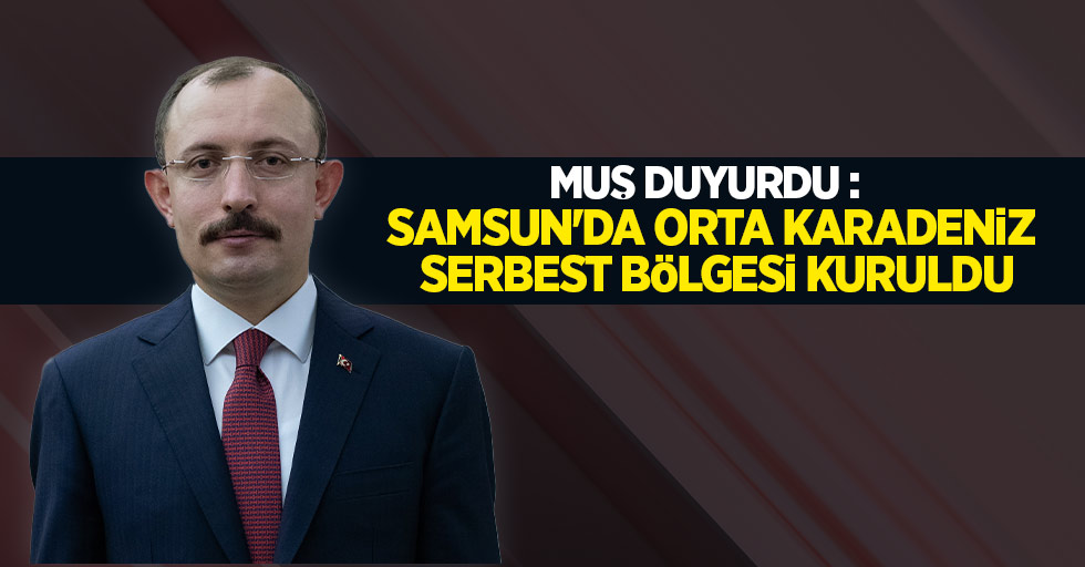 Samsun'da Orta Karadeniz Serbest Bölgesi kuruldu