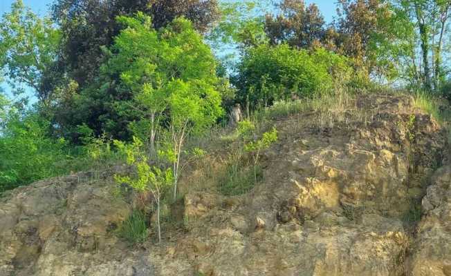 Kayalıklara çıkan kadını kaymakam ile emniyet müdürü ikna etti