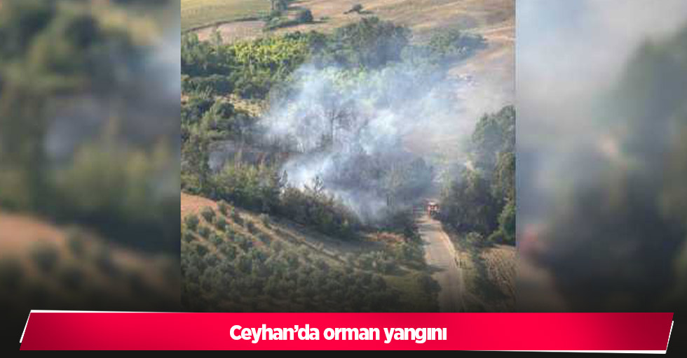 Ceyhan’da orman yangını