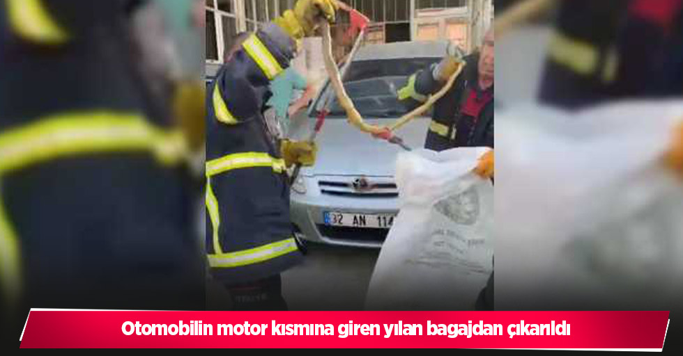 Otomobilin motor kısmına giren yılan bagajdan çıkarıldı