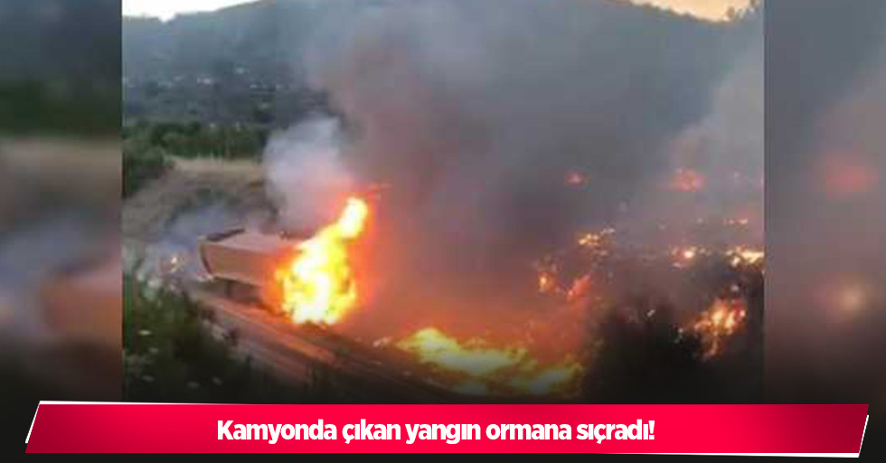 Kamyonda çıkan yangın ormana sıçradı!