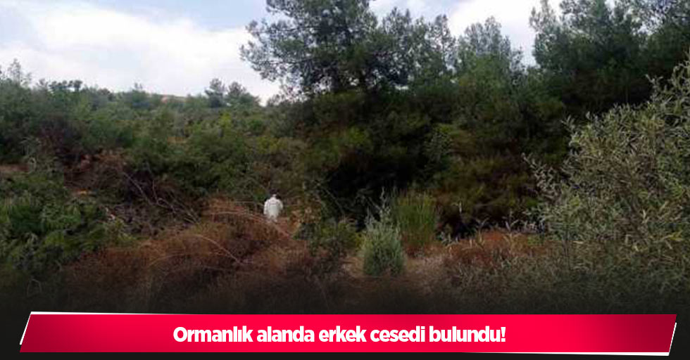 Ormanlık alanda erkek cesedi bulundu!