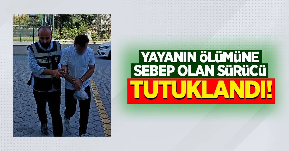 Yayanın Ölümüne Sebep Olan Sürücü Tutuklandı!