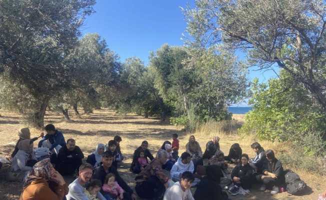 Ayvacık’ta 14 kaçak göçmen ile 1 göçmen kaçakçısı yakalandı