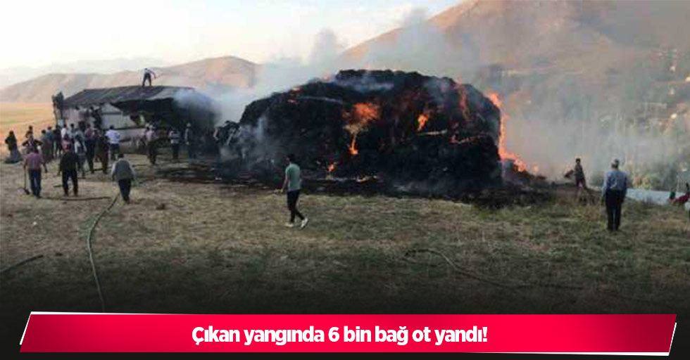 Çıkan yangında 6 bin bağ ot yandı!