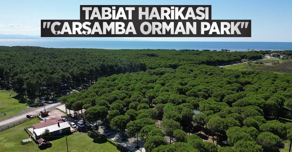 Tabiat harikası "Çarşamba Orman Park"