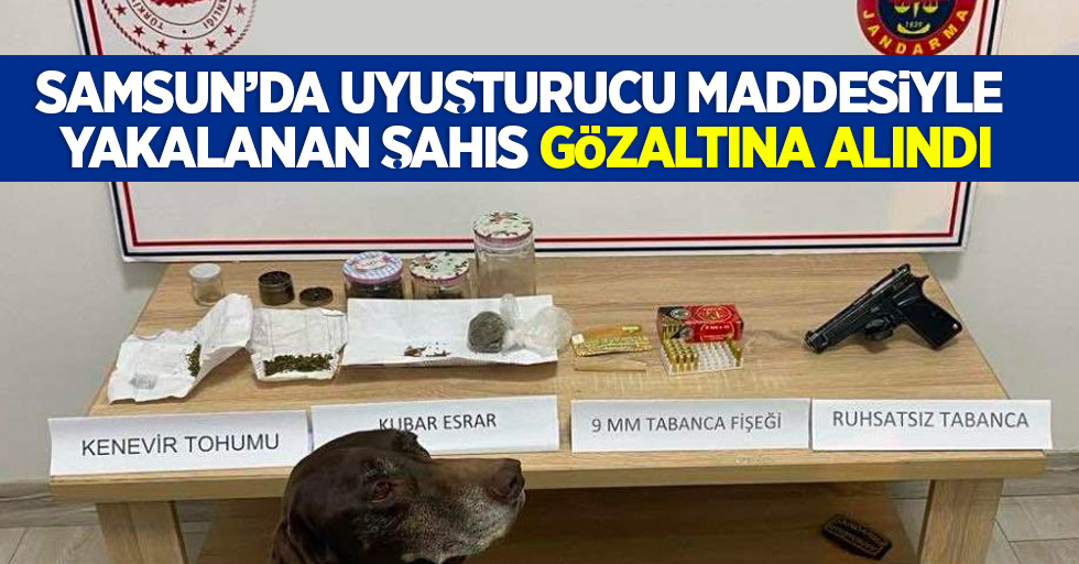 Samsun'da uyuşturucu maddesiyle yakalanan şahıs gözaltına alındı