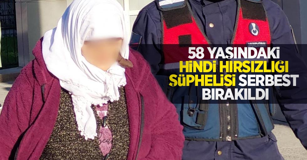 58 yaşındaki hindi hırsızlığı şüphelisi serbest bırakıldı