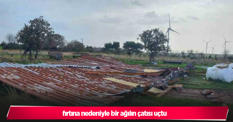 fırtına nedeniyle bir ağılın çatısı uçtu