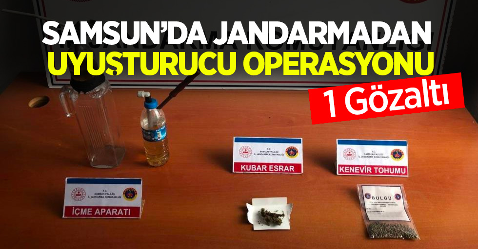 Samsun'da jandarmadan uyuşturucu operasyonu: 1 gözaltı