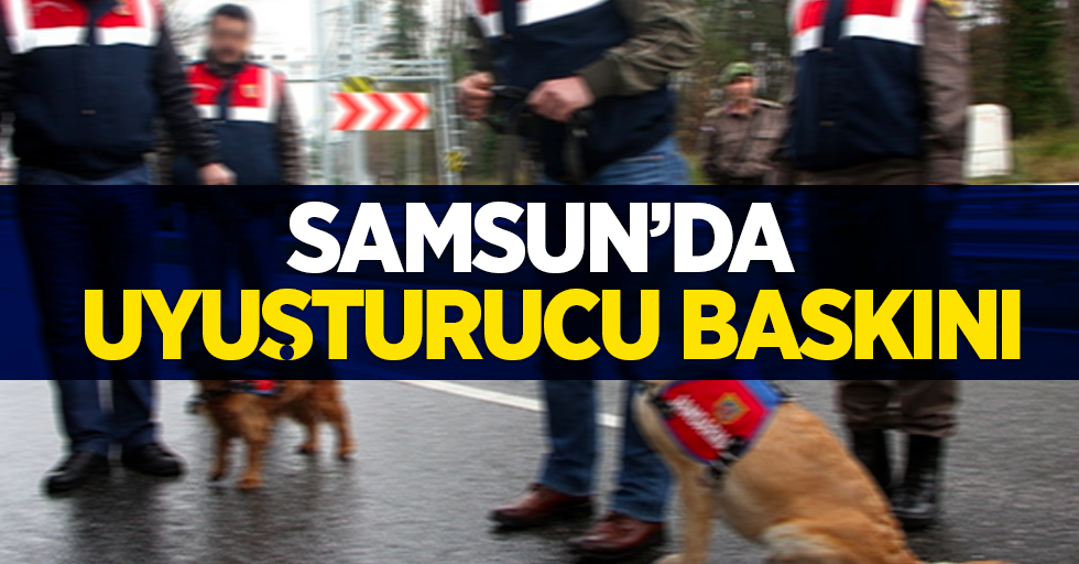 Samsun'da uyuşturucu baskını