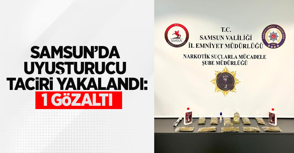 Samsun'da uyuşturucu taciri yakalandı: 1 gözaltı