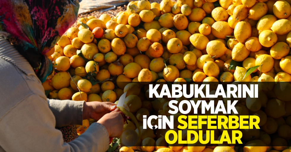 Kabuklarını soymak için seferber oldular