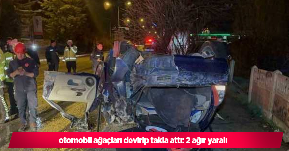 otomobil ağaçları devirip takla attı: 2 ağır yaralı