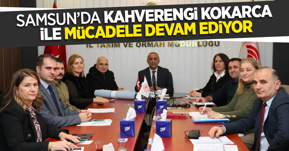 Samsun'da kahverengi kokarca ike mücadele decam