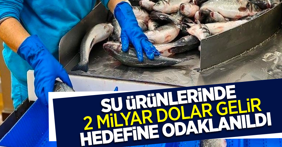 Su ürünlerinde 2 milyar dolar gelir hedefine odaklanıldı