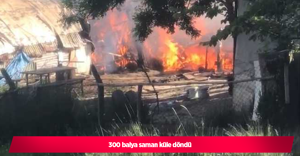 300 balya saman küle döndü