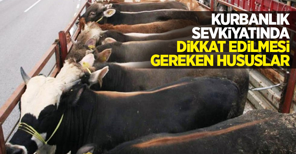 Kurbanlık sevkiyatında dikkat edilmesi gereken hususlar