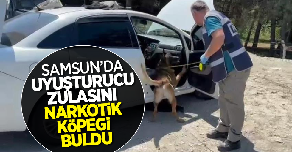 Samsun'da uyuşturucu zulasını narkotik köpeği buldu