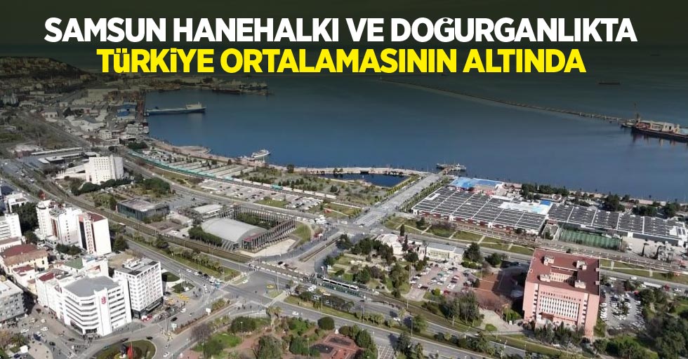 Samsun, hanehalkı ve doğurganlıkta Türkiye ortalamasının altında